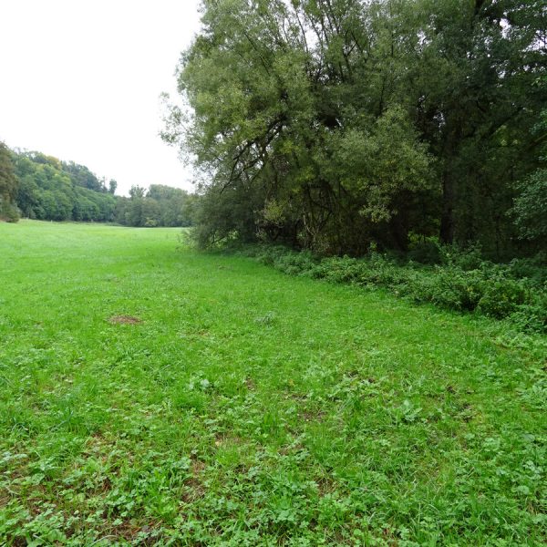 Zweibrücken Bickenalb