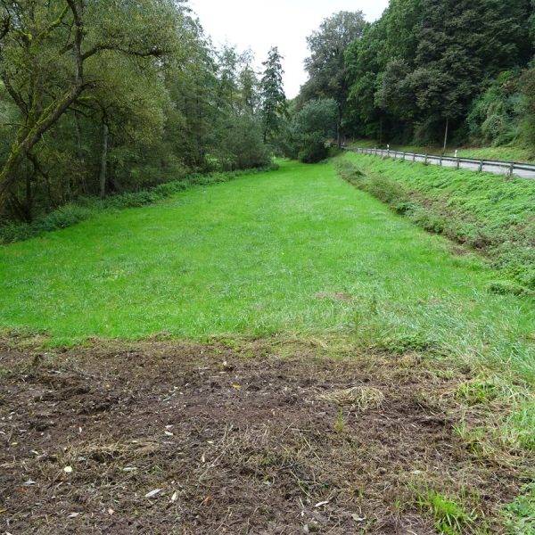 Zweibrücken Bickenalb