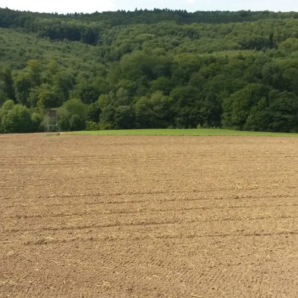 Rhein-Lahn-Kreis: Auf Bug / Niederlahnstein