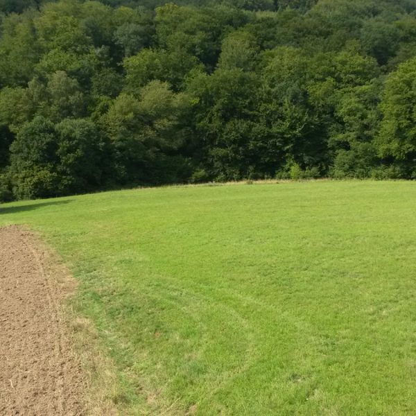 Rhein-Lahn-Kreis: Auf Bug / Niederlahnstein