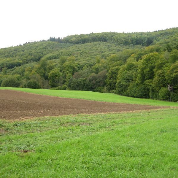 Rhein-Lahn-Kreis: Auf Bug / Niederlahnstein