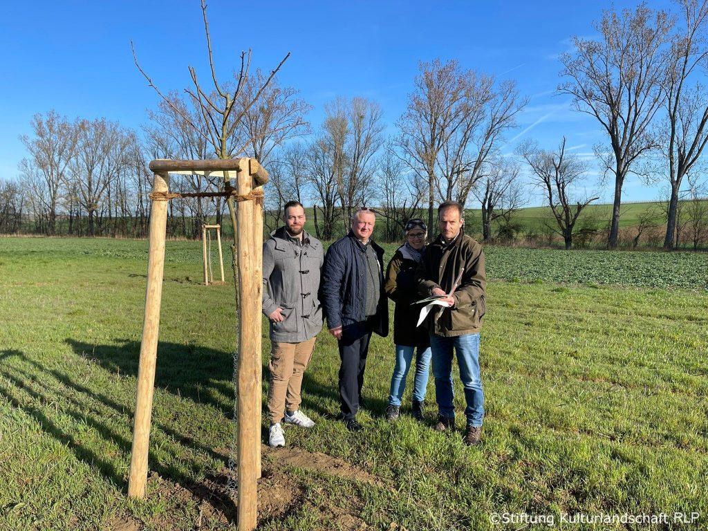 Kompensationsprojekt mit der VG Wöllstein Stiftung Kulturlandschaft